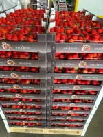 nos fraises belges
